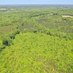 Photo #11 of Neal, Reidsville, NC 51.0 acres