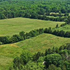 Photo #2 of 1240 Moschler, Gretna, VA 512.9 acres