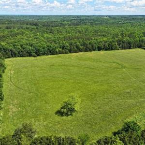 Photo #6 of 1240 Moschler, Gretna, VA 512.9 acres