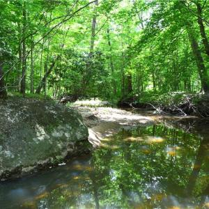 Photo #23 of Dillard, Madison, NC 229.0 acres