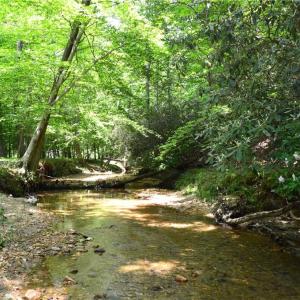 Photo #26 of Dillard, Madison, NC 229.0 acres