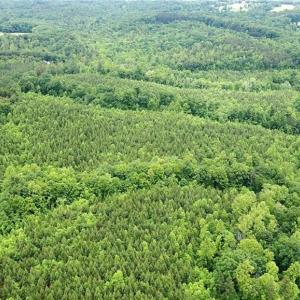 Photo #35 of Dillard, Madison, NC 229.0 acres