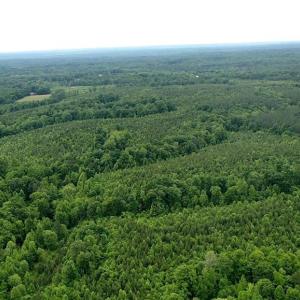 Photo #39 of Dillard, Madison, NC 229.0 acres