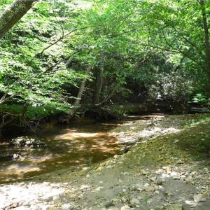 Photo #29 of Dillard, Madison, NC 229.0 acres