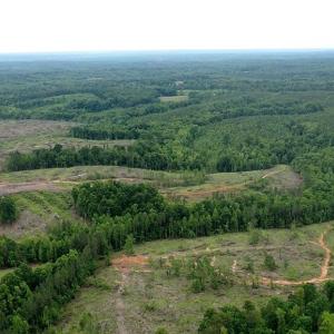 Photo #47 of Bethesda Church, Madison, NC 223.0 acres