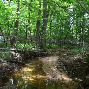 Photo #1 of Bethesda Church, Madison, NC 223.0 acres