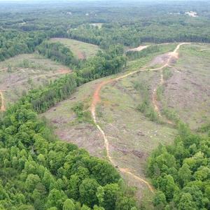 Photo #40 of Bethesda Church, Madison, NC 223.0 acres