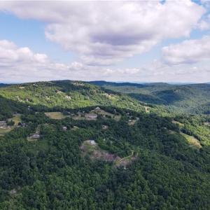 Photo #17 of Bear Trail, Cana, VA 11.0 acres