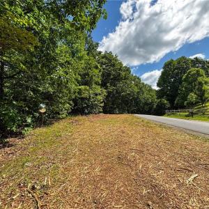 Photo #20 of Bear Trail, Cana, VA 11.0 acres