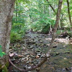 Photo #13 of 2575 Shooting Creek, Floyd, VA 329.2 acres