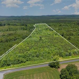 Photo #2 of Ether, Star, NC 17.9 acres