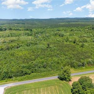 Photo #4 of Ether, Star, NC 17.9 acres