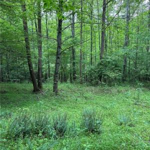 Photo #22 of TBD Apple Ridge Road, Cana, VA 24.2 acres