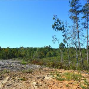 Photo #28 of Cherry Grove, Reidsville, NC 149.0 acres