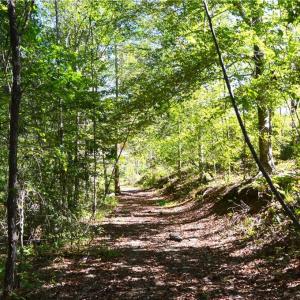 Photo #20 of Cherry Grove, Reidsville, NC 149.0 acres