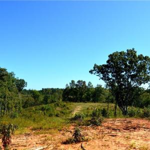 Photo #11 of Cherry Grove, Reidsville, NC 149.0 acres