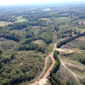 Photo #44 of Cherry Grove, Reidsville, NC 149.0 acres