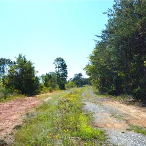 Photo #31 of Cherry Grove, Reidsville, NC 149.0 acres