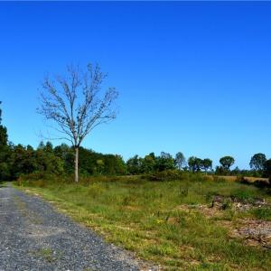 Photo #8 of Cherry Grove, Reidsville, NC 149.0 acres