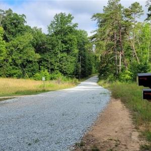 Photo #3 of Easy, Providence, NC 50.7 acres