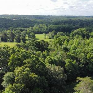 Photo #1 of Easy, Providence, NC 50.7 acres
