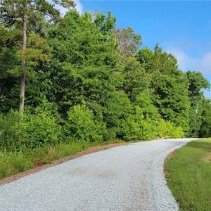 Photo #4 of Easy, Providence, NC 50.7 acres