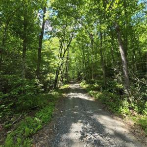 Private road with 40 acres +/-