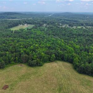 Photo #15 of 1920 NC Highway 42, Asheboro, NC 92.6 acres