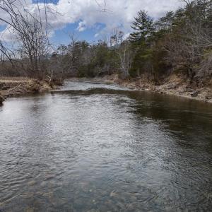 MLS Big River Propety Goshen-36