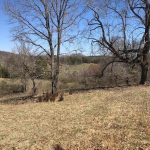 Photo #3 of Sunset Drive, Amherst, VA 90.0 acres