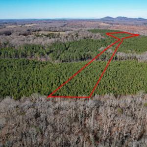 Photo #2 of Plank Road, Dillwyn, VA 30.3 acres