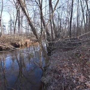 Photo #13 of Plank Road, Dillwyn, VA 30.3 acres