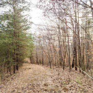 Photo #10 of Red Birch Dr Lot 34, Pittsville, VA 4.9 acres