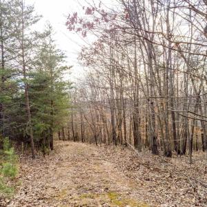 Photo #9 of Red Birch Dr Lot 34, Pittsville, VA 4.9 acres