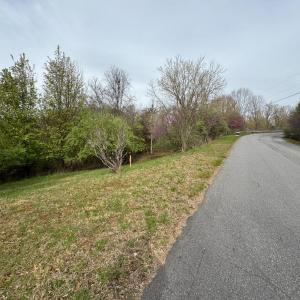 Photo #2 of 1 Trails End Road, Goodview, VA 1.4 acres