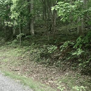 Photo #14 of Sawmill Road, Bedford, VA 6.4 acres