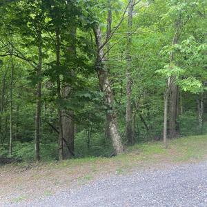 Photo #8 of Sawmill Road, Bedford, VA 6.4 acres