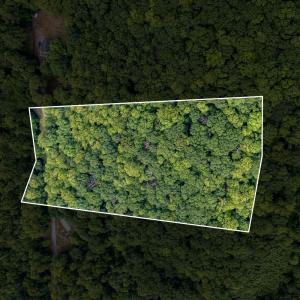 Photo #2 of Sawmill Road, Bedford, VA 6.4 acres