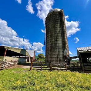 Photo #13 of 127 Albert Farm Rd, Monroe, VA 225.2 acres