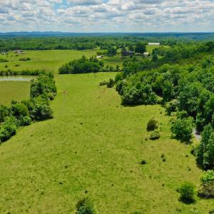 Photo #80 of 127 Albert Farm Rd, Monroe, VA 225.2 acres