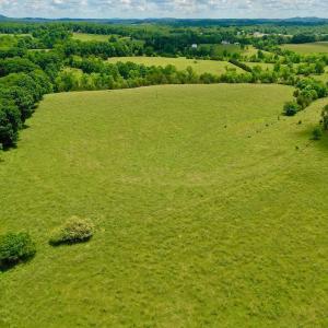 Photo #70 of 127 Albert Farm Rd, Monroe, VA 225.2 acres