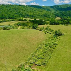 Photo #76 of 127 Albert Farm Rd, Monroe, VA 225.2 acres