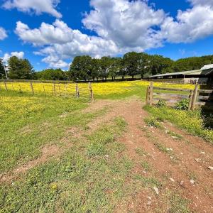 Photo #11 of 127 Albert Farm Rd, Monroe, VA 225.2 acres