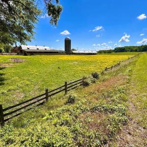 Photo #8 of 127 Albert Farm Rd, Monroe, VA 225.2 acres