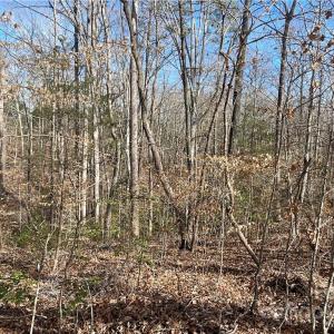 Photo #9 of 161 Little River Trail Little River, Indian Land, SC 25.4 acres