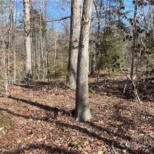 Photo #11 of 161 Little River Trail Little River, Indian Land, SC 25.4 acres