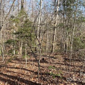 Photo #8 of 161 Little River Trail Little River, Indian Land, SC 25.4 acres