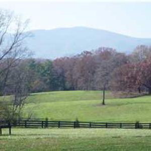 Photo #1 of SOLD property in 50 BEDFORD PARK RD, CHARLOTTESVILLE, VA 1.0 acres