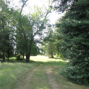 Photo #2 of SOLD property in HUNGARS BEACH RD, EASTVILLE, VA 1.0 acres