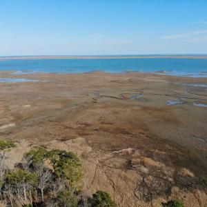 Photo #21 of 6049 POPLAR GROVE LN, CAPE CHARLES, VA 321.6 acres